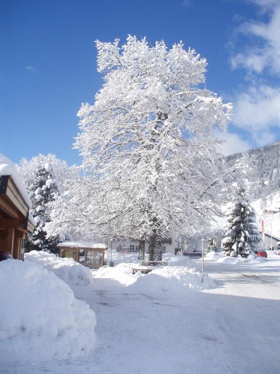 Haus Seifriedsberger Apartamento Bramberg am Wildkogel Exterior foto
