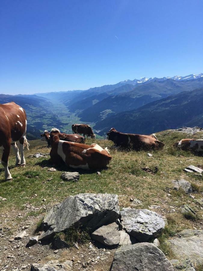 Haus Seifriedsberger Apartamento Bramberg am Wildkogel Exterior foto